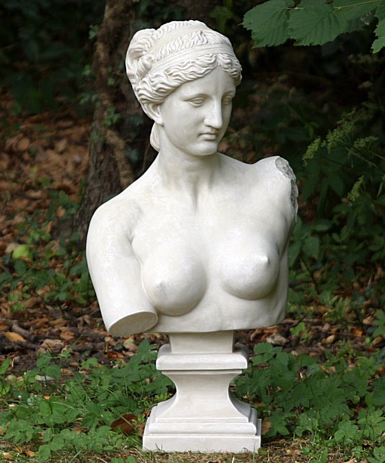 bust-of-female-bust.jpg
